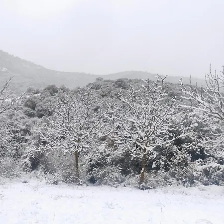 Oneiropagidasuites Kalavryta Exterior photo