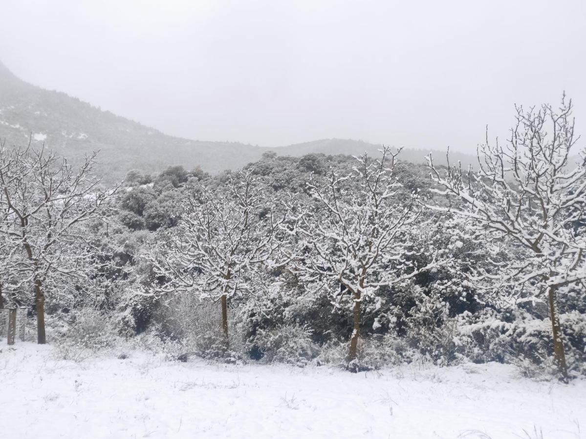 Oneiropagidasuites Kalavryta